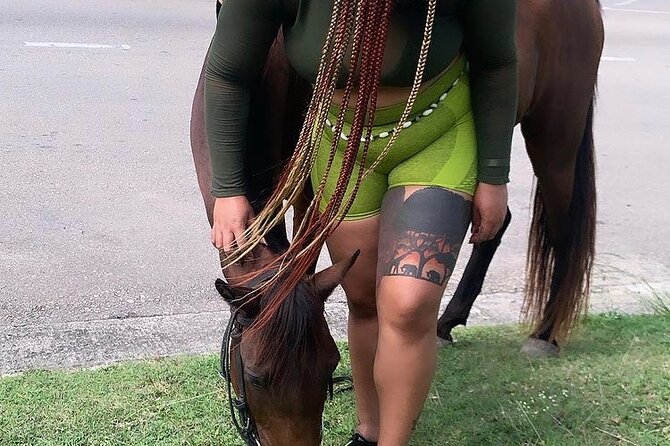 Jam west adventure park tour from Montego Bay - Horseback riding, swimming, safari, and push carts
