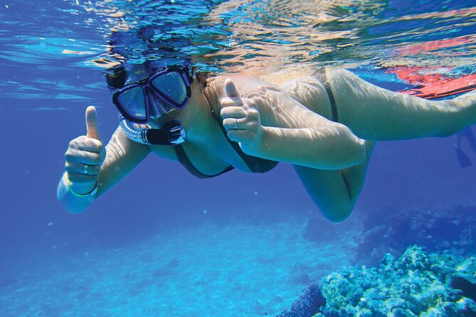 Jet Boat Excursion in South West Coast of Mallorca - Is the $84.66 Price Good Value?