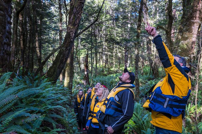 Jet Boat Journey through Fiordland National Park - Pure Wilderness - The Upper Waiau River at speed