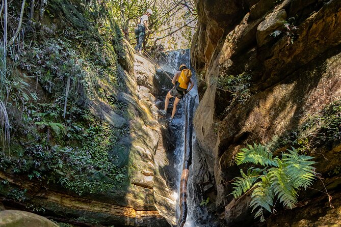 Juggler Canyon and Abseiling Adventure Blue Mountains - Five abseils in the Grose Valley
