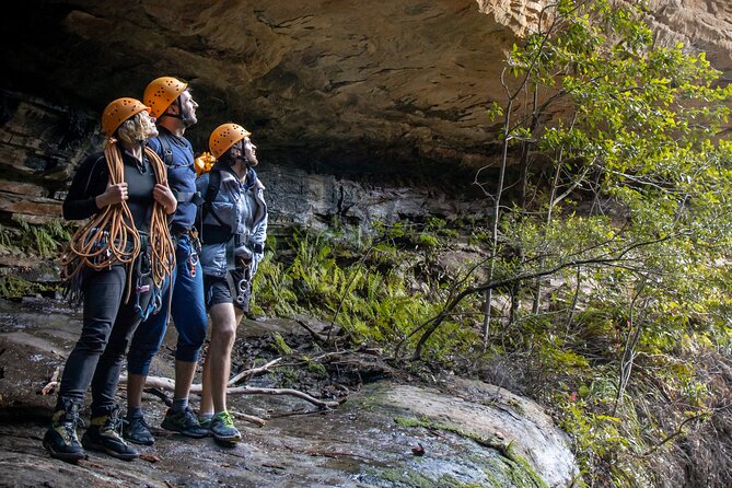 Juggler Canyon and Abseiling Adventure Blue Mountains - The 45-minute walk back to the car