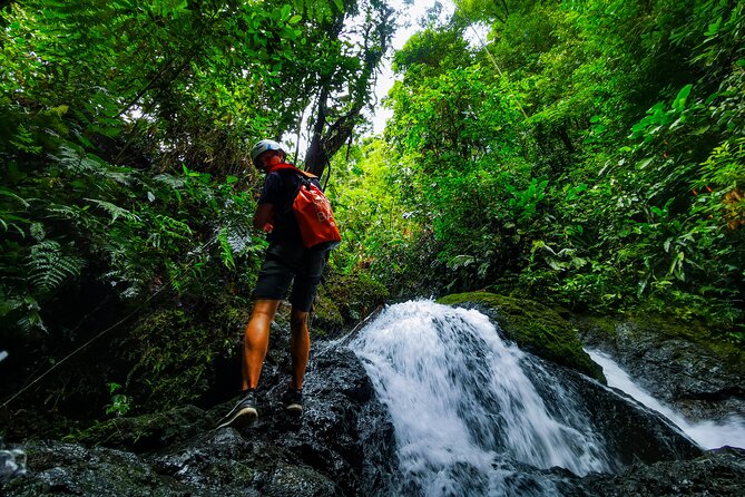 Jungle Hike with Canyoning and Rappelling in Drake Bay - Why this is more than a rainforest walk