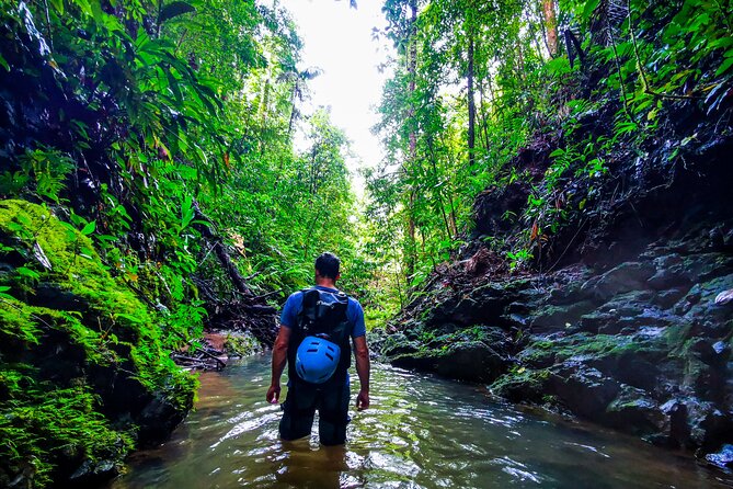 Jungle Hike with Canyoning and Rappelling in Drake Bay - A 7:00 a.m. start and a 4x4 ride into Corcovado