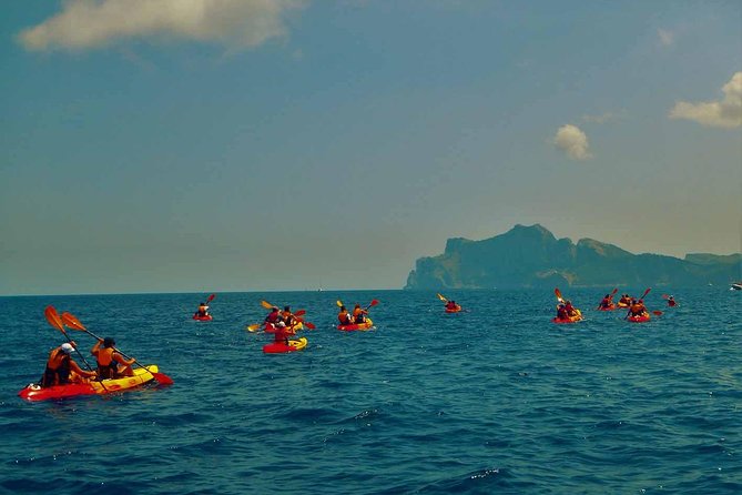 Kayak & Coasteering - Is $93.46 a fair price?