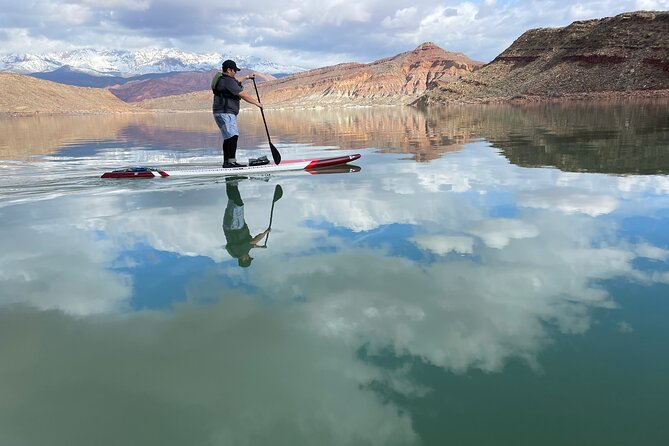 Kayak/SUP Tour: Birds, Beavers, Turtles, maybe even Cliff Jumping - Why the guides matter
