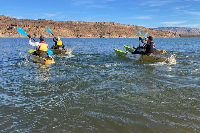 Kayak/SUP Tour: Birds, Beavers, Turtles, maybe even Cliff Jumping - What the $70 price really covers