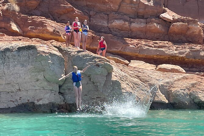 Kayak/SUP Tour: Birds, Beavers, Turtles, maybe even Cliff Jumping - Timing, weather, and what to bring