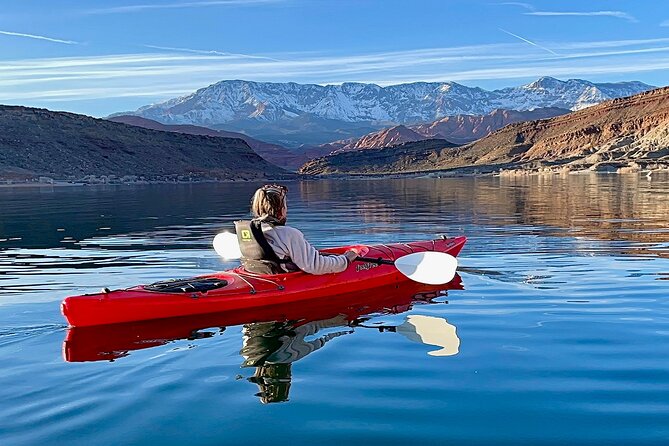 Kayak/SUP Tour: Birds, Beavers, Turtles, maybe even Cliff Jumping - Who will enjoy this Quail Creek outing?