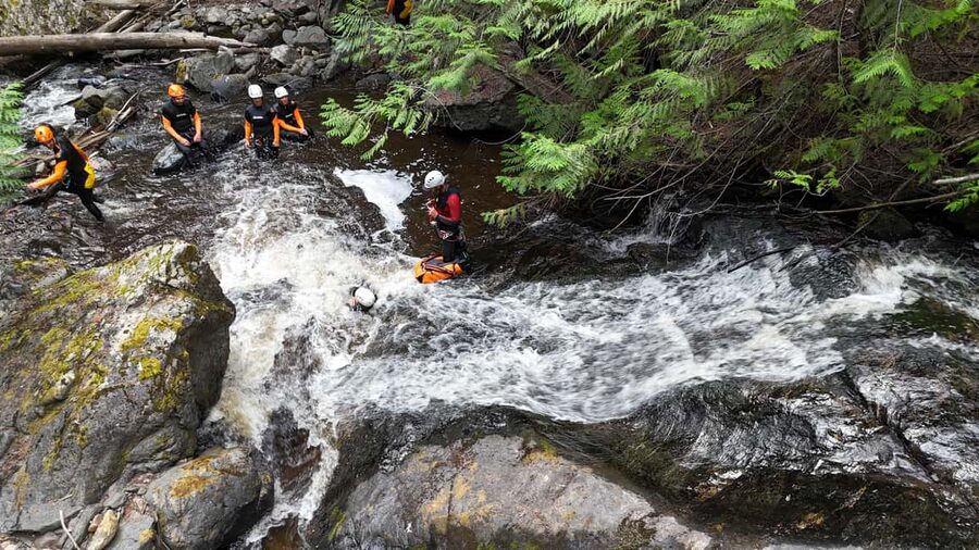 Kelowna: Adventure Canyoning Tour - Four Hours Among Ferns and Cedar Trees