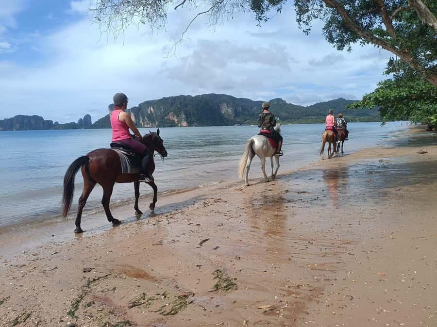 Krabi Horse Riding on the Beach and atv Extreme - The ATV route through Krabi’s countryside