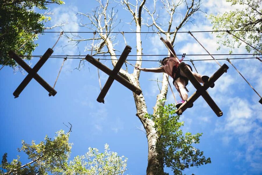 La Tremblade: Oasalis Parcour Adventure Park - Key points to know before you go