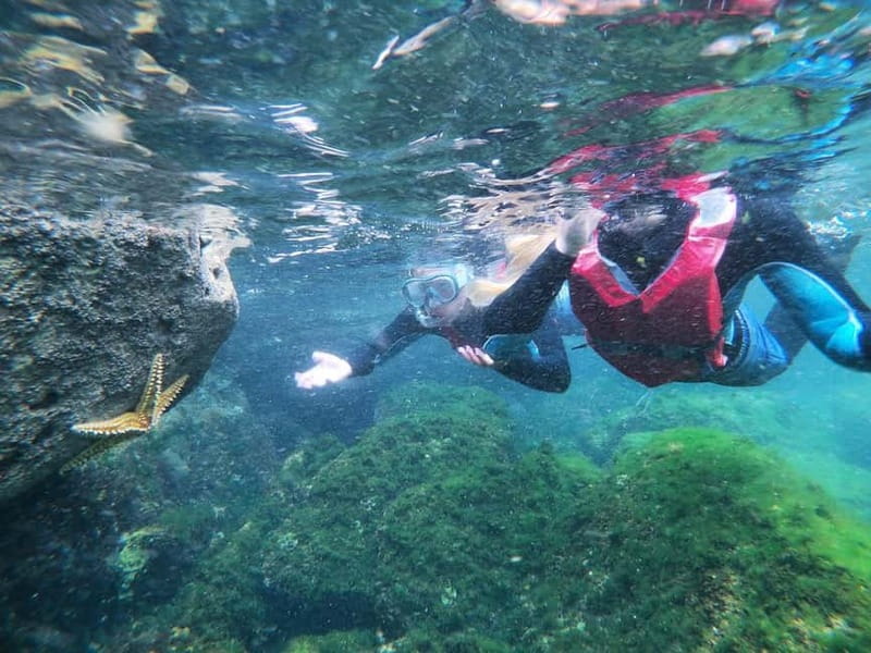 Lagos: Algarve Coasteering and Snorkeling Adventure - Why the guide makes such a difference