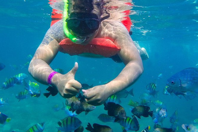 Las Caletas Beach & Adventure Park with buffet lunch and open bar - Water activities included in the price