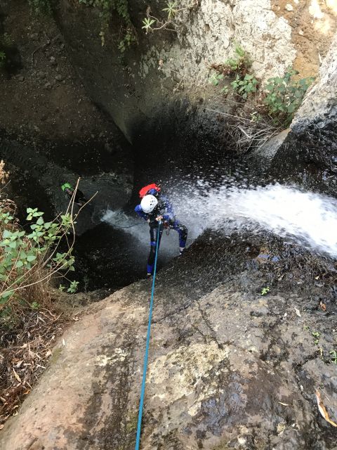Las Palmas, Gran Canaria: Canyoning Adventure - Why Barranco de los Cernícalos makes this special