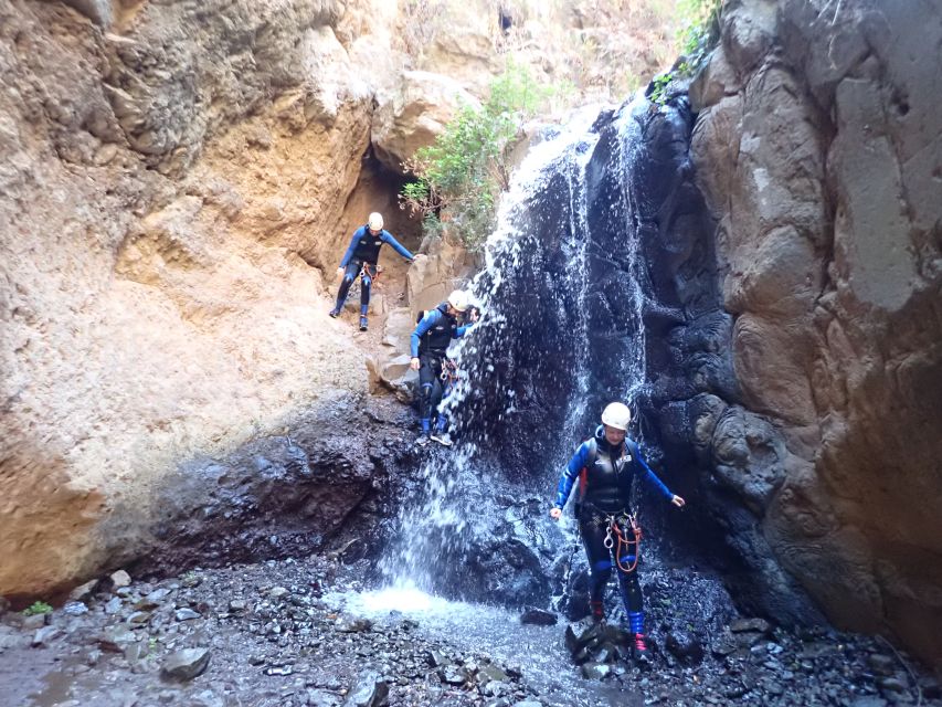 Las Palmas, Gran Canaria: Canyoning Adventure - Pools, jungle paths, and the narrowest section