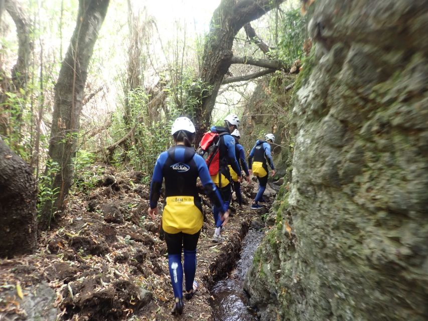 Las Palmas, Gran Canaria: Canyoning Adventure - What the guide and group size change