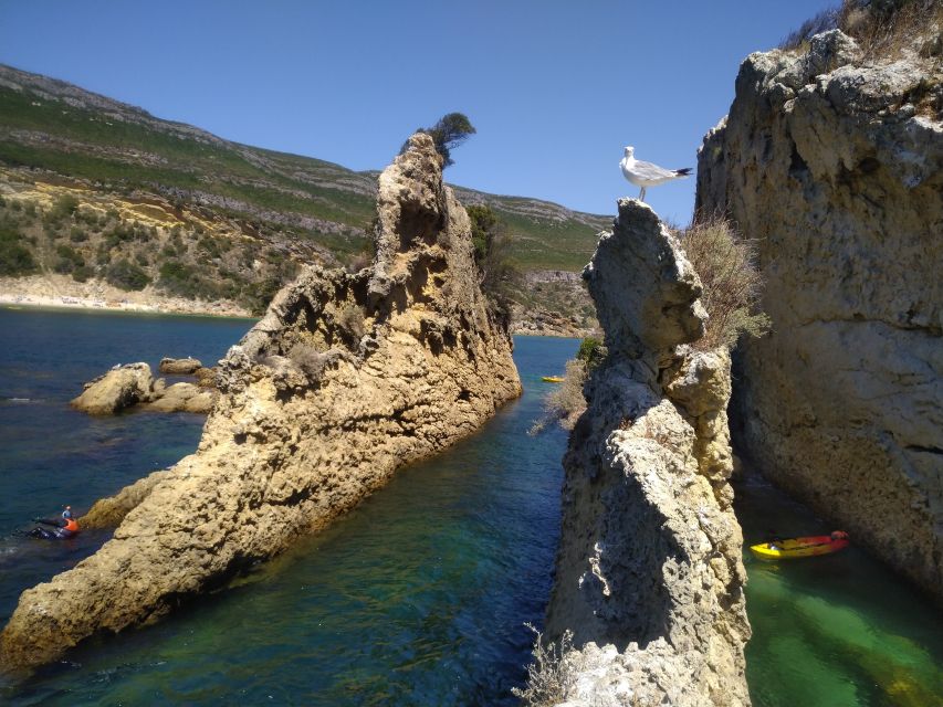 Lisbon: Arrábida Kayak and Coasteering Adventure Tour - Snorkeling near Anicha Island