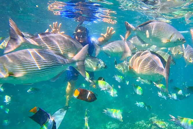 Los Arcos 5 islands Snorkeling Cliff Jumping and Hidden Beach - Starting at Mismaloya and the old movie-set ruins