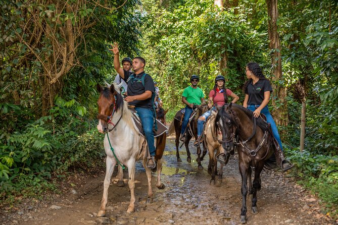 Luquillo Beach Horse Ride from Carabalí Rainforest Adventure Park - Reaching Luquillo Beach on horseback