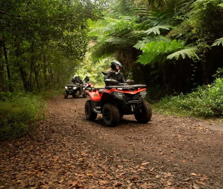 Madeira: Aventura Off-Road de ATV ou Quad - Adrenalina - Casa das Funduras brings the first real mountain character