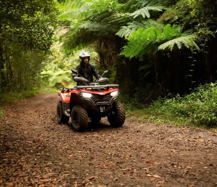 Madeira: Aventura Off-Road de ATV ou Quad - Adrenalina - Starting at Caminho da Chã