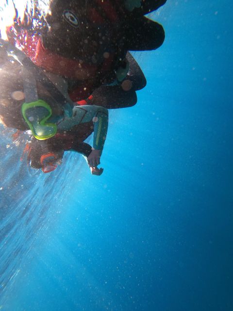 Madeira: Coasteering Tour - Your four hours along the Baía d’Abra coast