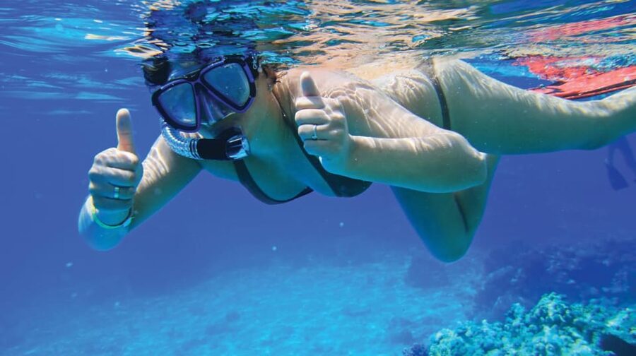 Mallorca: Bladerunner Jet Boat Excursion - Portals Vells is where the activity begins