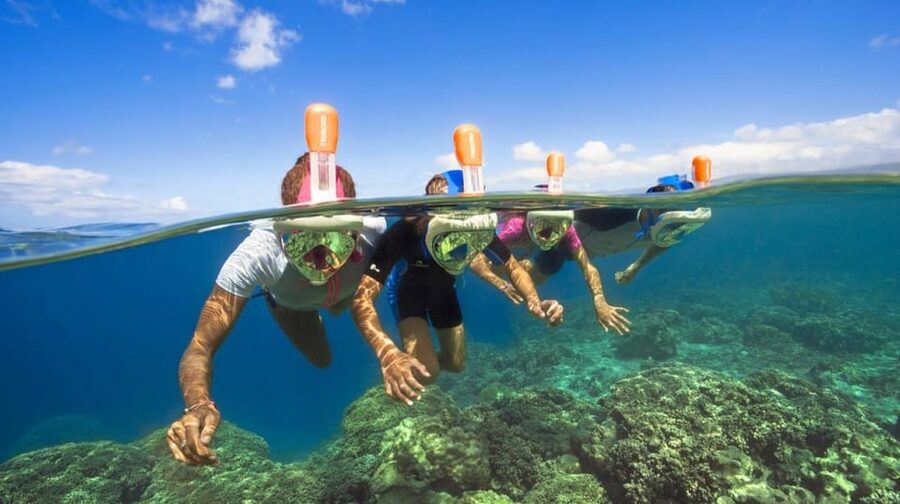 Mallorca: Bladerunner Jet Boat Excursion - Who should book this Magaluf boat trip