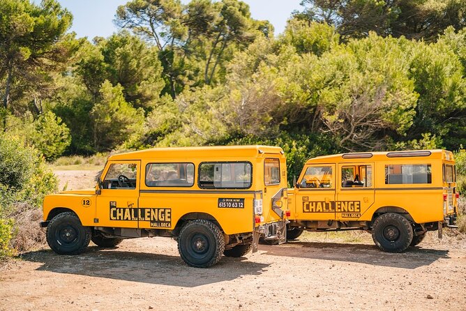 Mallorca: Kayaking, Sea Cave, Cliff Jumping & Snorkel Tour - Why this three-hour tour works so well