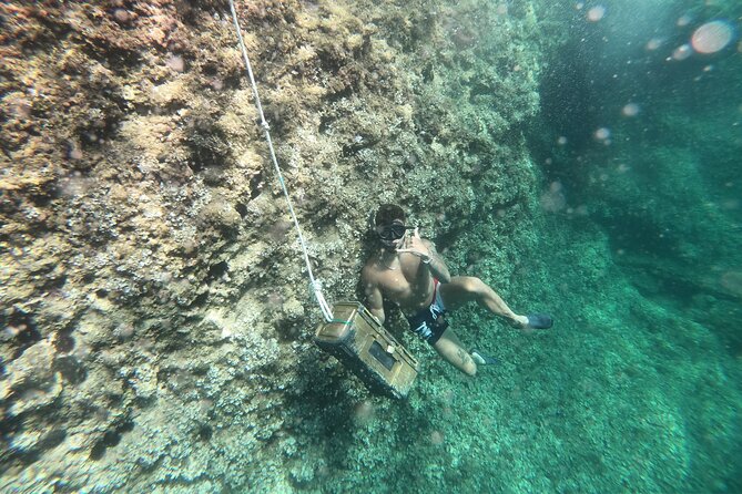 Mallorca: Kayaking, Sea Cave, Cliff Jumping & Snorkel Tour - Getting to La Victòria from northern Mallorca