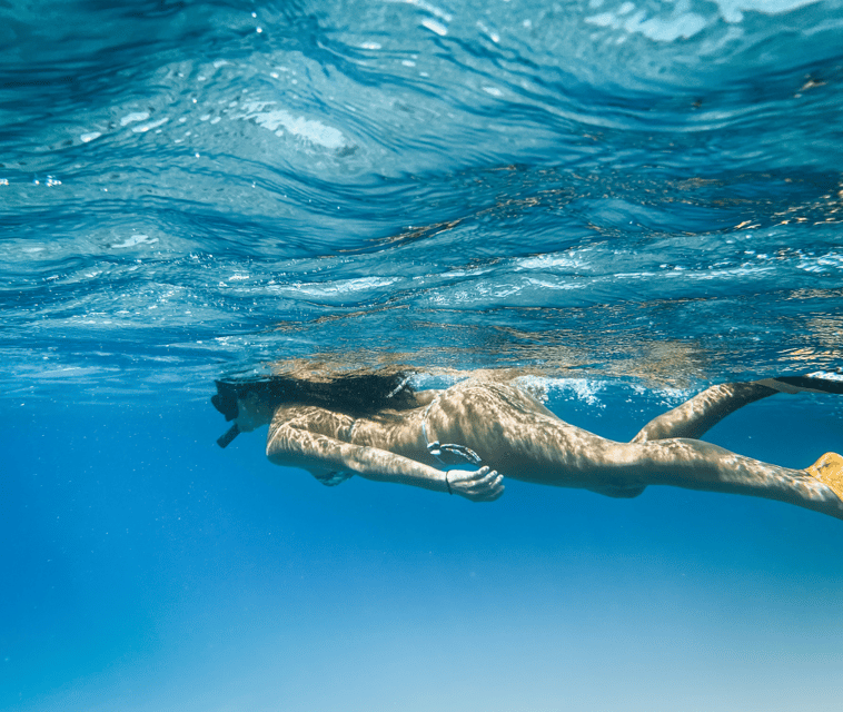 Mallorca: Visit Palma Speedboat adrenaline & snorkelling - Should you book it?