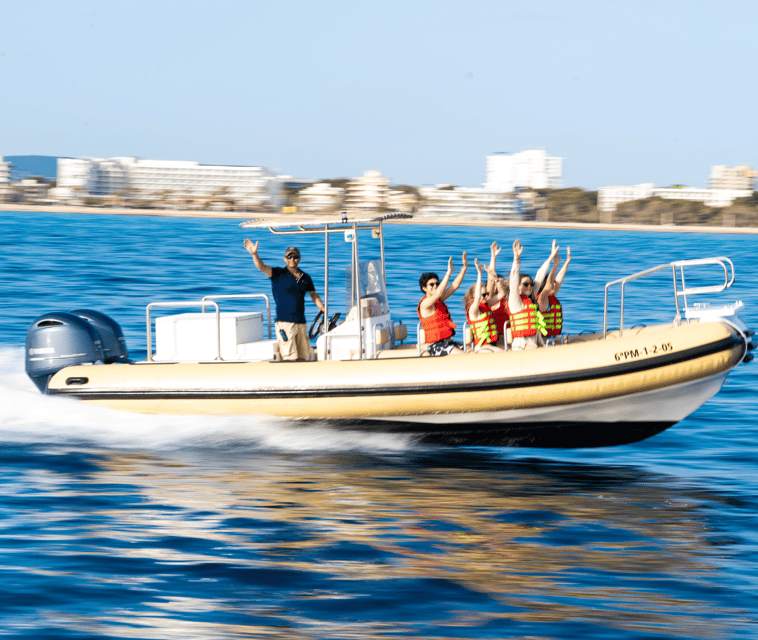Mallorca: Visit Palma Speedboat adrenaline & snorkelling - Palma Cathedral seen from the sea
