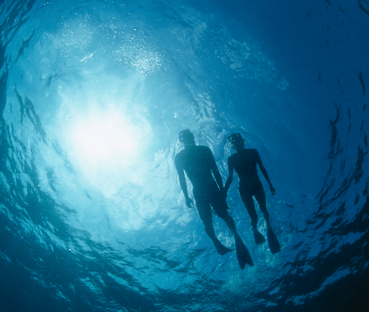 Mallorca: Visit Palma Speedboat adrenaline & snorkelling - Who will enjoy this speedboat trip?