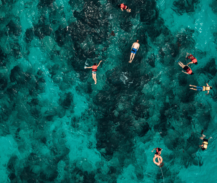 Mallorca: Visit Palma Speedboat adrenaline & snorkelling - What to bring and how to prepare