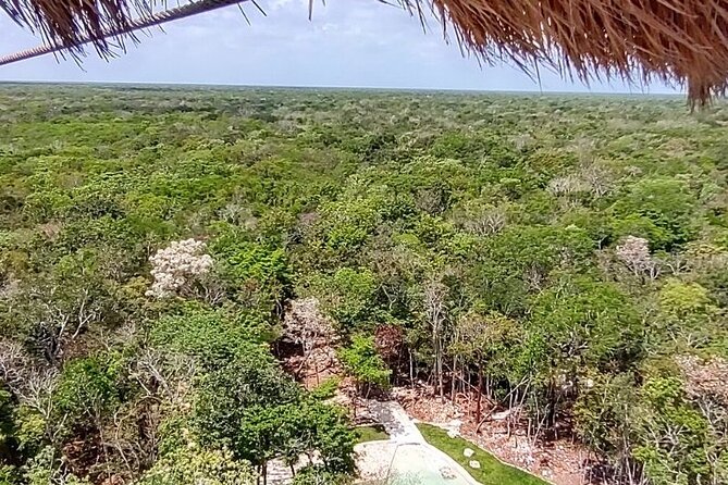 Maya Adrenaline: ATV, Ziplines & Cenote From Playa del Carmen. - Four ziplines above the trees
