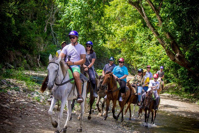 Mega Extreme Adventure: Horseback Riding, Ziplining and more - Ziplining through the forest