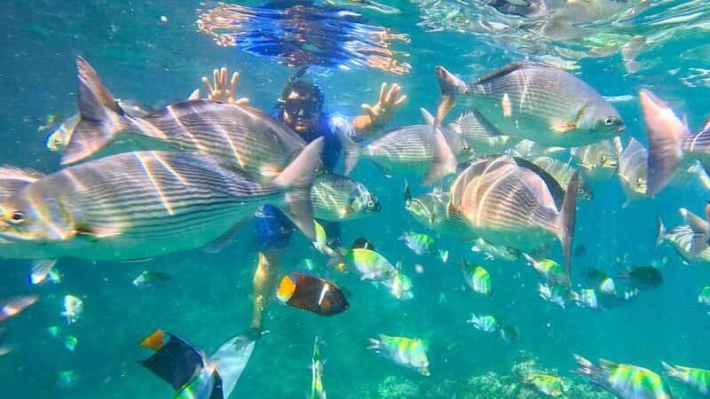 Mismaloya: Snorkeling, Cliff Jumping, and Beach Tour - A short Pacific outing with three different moods