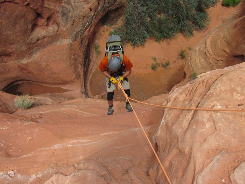 Moab: Morning or Afternoon Half-Day Rappelling Tour - How the guides shape the experience