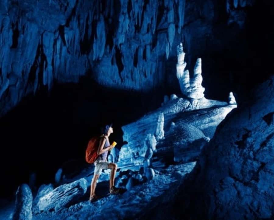 Nadi: Abseiling, Zipline, and Cave Tour with Meal - Your morning from Nadi to the rainforest
