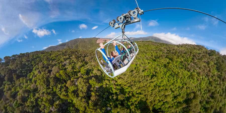Nelson: Cable Bay Adventure Park Skywire Experience - What the forward and backward ride feels like