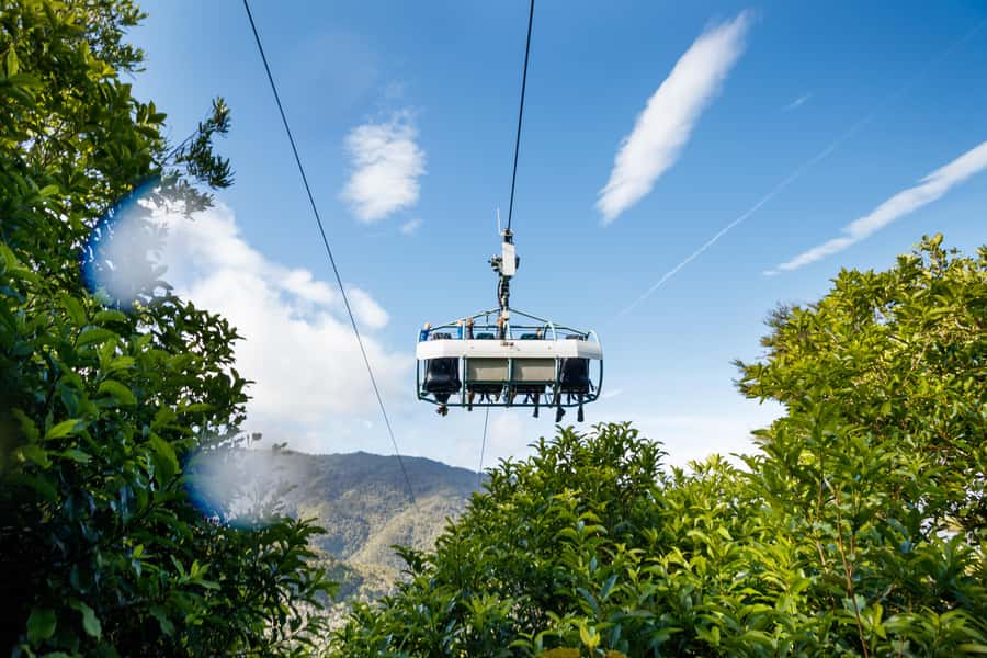 Nelson: Cable Bay Adventure Park Skywire Experience - The guide makes a real difference