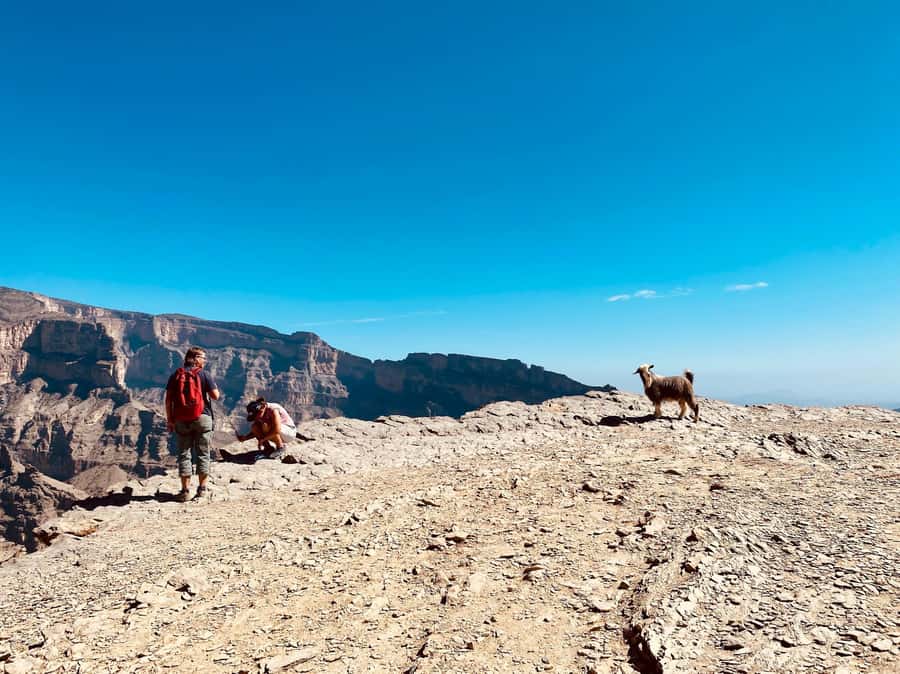 Nizwa: Jebel Shams Balcony Walk and Via Ferrata Adventure - Lunch after the climb