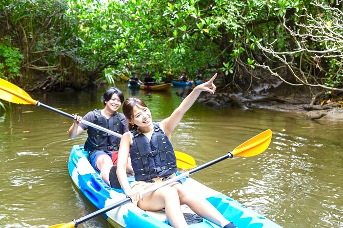 Okinawa Iriomote Mangrove SUP or Canoe and Splash Canyoning Tour - Why the included gear improves the value