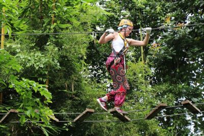 Phoenix Adventure Park Zipline, High Rope Course In Chiang Mai