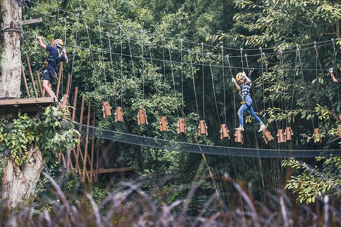 Phoenix Zipline Adventure Park – Chiang Mai Thrills - What Phoenix Adventure Park is really like