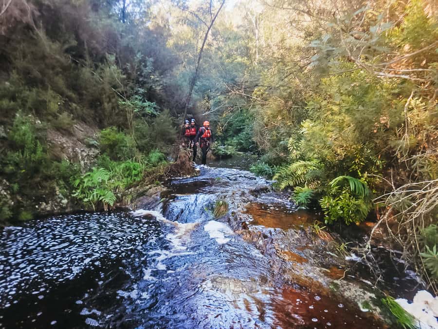 Plettenberg Bay: Canyoning Trip - Key points to know before booking