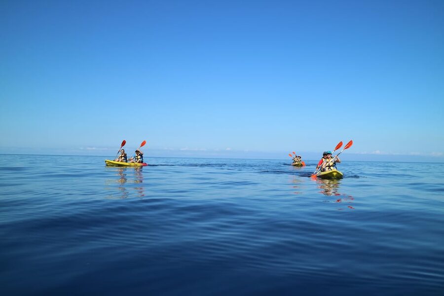 Pollença: Kayak and Coasteering Cliff Jumping - Who should book this adventure?