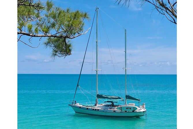 Private Catamaran Swim sail snorkel cliff jumping SUP - Boat comfort and what is onboard