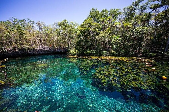 Private Coba & Jungle Adventure: Zipline, Rappel & Cenote - Taco lunch with a local touch