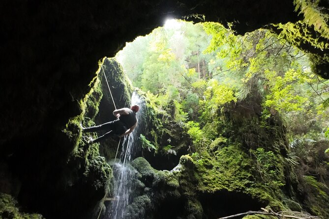 Private Custom Canyoning Adventure in São Miguel - Is $264.34 per person a fair price?